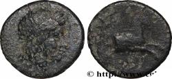 Ancient Coins - IONIA - KOLOPHON Colophon, Ionie c. 330-300 AC. (14mm, 1,90g, 12h)
