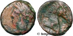 Ancient Coins - ZEUGITANA - CARTHAGE Sardaigne c. 300-264 AC. (18,5mm, 4,59g, 6h)