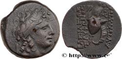 Ancient Coins - SYRIA - SELEUKID KINGDOM - TRYPHON Antioche, Syrie c. 140 AC. (18mm, 5,41g, 12h)