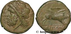 Ancient Coins - APULIA - ARPI Arpi, Apulie   c. 325-275 AC. (21,5mm, 6,69g, 7h)