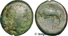 Ancient Coins - SICILY - MESSANA Messine, Sicile c. 264-241 AC. (28mm, 17,26g, 6h)