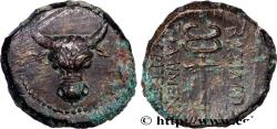 Ancient Coins - KINGS OF PAPHLAGONIA - PYLAIMENES III  Paphlagonie c. 103 AC (17mm, 3,91g, 12h)