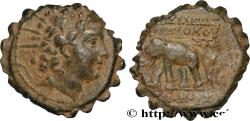 Ancient Coins - SYRIA - SELEUKID KINGDOM - ANTIOCHUS VI DIONYSUS Antioche, Syrie c. 145-142 AC. (20mm, 7,08g, 1h)