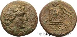 Ancient Coins - PONTUS - AMISOS Amisos, Pont c. 85-65 AC. (21mm, 8,54g, 11h)