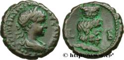 Ancient Coins - SEVERUS ALEXANDER  Alexandrie, Égypte 222-223 (22mm, 12,25g, 12h)