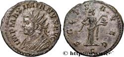 Ancient Coins - MAXIMIANUS HERCULIUS Lyon 290-291 (20mm, 3,17g, 12h)