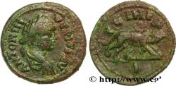 Ancient Coins - CARACALLA Parium, Mysie c. 217-218 (24mm, 8,48g, 8h)