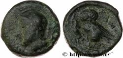 Ancient Coins - SICILY - KAMARINA Camarina, Sicile c. 420-405 AC. (14mm, 3,36g, 1h)