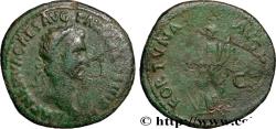 Ancient Coins - NERVA Rome 97 (28,5mm, 7,23g, 6h)