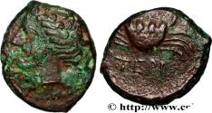 Ancient Coins - BRUTTIUM - TERINA Térina, Bruttium c. 350-275 AC. (16mm, 3,67g, 9h)