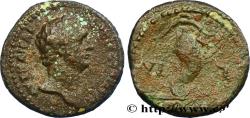 Ancient Coins - DOMITIANUS Alexandrie, Égypte 92-93 (18mm, 4,56g, 12h)
