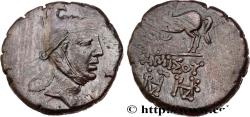 Ancient Coins - PONTUS - AMISOS Amisos, Pont c. 105-90 ou 90-85 AC. (23,5mm, 12,63g, 12h)