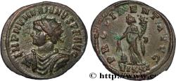 Ancient Coins - NUMERIAN Ticinum 283 (21,5mm, 3,99g, 12h)