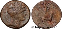 Ancient Coins - CILICIA - TARSUS Tarse, Cilicie c. 164-27 AC. (21mm, 6,20g, 12h)