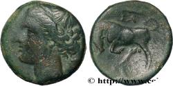 Ancient Coins - SICILY - SYRACUSE Syracuse, Sicile c. 275 - 269/265 AC. (19mm, 5,42g, 7h)