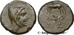 Ancient Coins - PONTUS - AMISOS Amisos, Pont c. 105-90 ou 90-85 AC. (23mm, 13,38g, 12h)