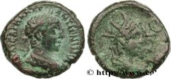Ancient Coins - ELAGABALUS Alexandrie, Égypte 221-222 (22mm, 12,86g, 12h)