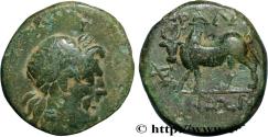 Ancient Coins - LYDIA - TRALLES Tralles, Lydie c. 220-200 AC. (15,5mm, 2,64g, 12h)