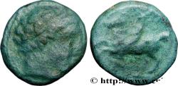 Ancient Coins - MACEDONIA - MACEDONIAN KINGDOM - PHILIP II Pella, Macédoine c. 356-336 AC. (15,5mm, 4,14g, 1h)