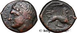 Ancient Coins - SICILY - SYRACUSE Syracuse, Sicile c. 295-289 AC. (19mm, 6,89g, 12h)