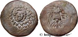 Ancient Coins - PONTUS - AMISOS Amisos, Pont c. 105-90 ou 90-85 AC. (23,5mm, 7,15g, 12h)