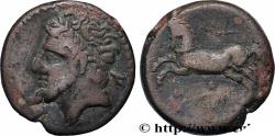 Ancient Coins - NUMIDIA - KINGDOM OF NUMIDIA - MASINISSA or MICIPSA Cirta, Numidie c. 150 AC. (26,5mm, 14,87g, 12h)