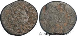 Ancient Coins - PONTUS - KOMANA Comana, Pont c. 105-90 ou 90-85 AC. (21,5mm, 6,62g, 1h)