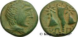 Ancient Coins - PAPHLAGONIA - SINOPE Sinope, Paphlagonie c. 120-100 AC. (16mm, 3,01g, 11h)
