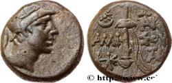 Ancient Coins - PONTUS - AMISOS Amisos, Pont c. 85-65 AC. (19mm, 9,06g, 12h)