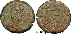 Ancient Coins - HADRIAN Alexandrie, Égypte 133-134 (33mm, 23,88g, 12h)