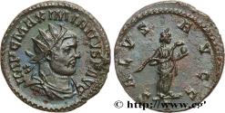 Ancient Coins - MAXIMIANUS HERCULIUS Lyon 289-290 (23mm, 4,03g, 6h)