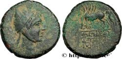 Ancient Coins - PONTUS - AMISOS Amisos, Pont c. 105-90 ou 90-85 AC. (24mm, 12,59g, 12h)