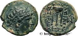 Ancient Coins - SYRIA - SELEUKID KINGDOM - ANTIOCHUS II THEOS Sardes, Lydie c. 275 AC. (17mm, 4,84g, 12h)