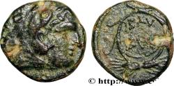 Ancient Coins - THRACE - THRACIAN KINGDOM - LYSIMACHOS Lysimacheia, Thrace c. 304-297 AC. (14mm, 2,17g, 3h)