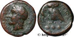 Ancient Coins - SICILY - KAMARINA Camarina, Sicile c. 420-405 AC. (14mm, 2,63g, 3h)