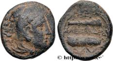 Ancient Coins - MACEDONIA - MACEDONIAN KINGDOM - ALEXANDER III THE GREAT Amphipolis  c. 336-323 AC. (18mm, 6,29g, 12h)