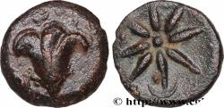 Ancient Coins - PONTUS - AMISOS Amisos (?), Pont c. 130-100 AC. (19mm, 5,58g, 12h)