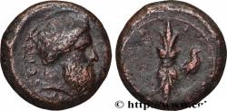 Ancient Coins - SICILY - SYRACUSE Syracuse, Sicile c. 343 - 339/338 AC. (24,5mm, 13,91g, 3h)