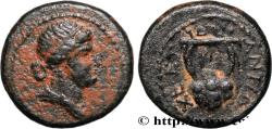 Ancient Coins - HADRIAN Antioche, Syrie, Séleucie et Piérie 65-6 (16mm, 3,71g, 12h)