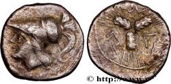 Ancient Coins - APULIA - ARPI Arpi, Apulie   c. 215-212 AC. (14mm, 1,36g, 12h)