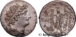 Ancient Coins - SYRIA - SELEUKID KINGDOM - ANTIOCHUS VIII GRYPUS Aké-Ptolémais,Phénicie c. 115-113 AC. (31,5mm, 16,51g, 11h)