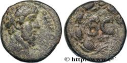 Ancient Coins - LUCIUS VERUS Antioche, Syrie, Séleucie et Piérie c. 161-169 (22mm, 8,91g, 1h)
