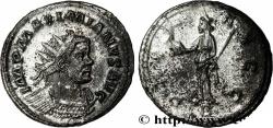Ancient Coins - MAXIMIANUS HERCULIUS Lyon 290-291 (22mm, 3,95g, 6h)