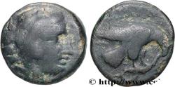 Ancient Coins - MACEDONIA - KINGDOM OF MACEDONIA - AMYNTAS III Aigai ou Pella, Macédoine c. 393 - 370/369 AC. (15mm, 4,19g, 6h)