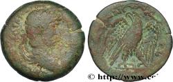 Ancient Coins - HADRIAN Alexandrie 134-135 (33mm, 25,15g, 12h)