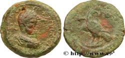 Ancient Coins - MACRINUS Alexandrie, Égypte 217-218 (24mm, 9,62g, 12h)