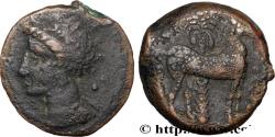 Ancient Coins - ZEUGITANA - CARTHAGE Carthage, Zeugitane c. 350-320 AC. (16mm, 2,88g, 9h)