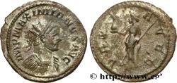 Ancient Coins - MAXIMIANUS HERCULIUS Lyon 290-291 (23mm, 3,92g, 12h)