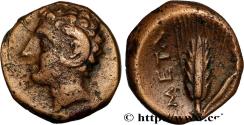 Ancient Coins - LUCANIA - METAPONTUM Métaponte, Lucanie c. 275-250AC. (12mm, 1,45g, 9h)