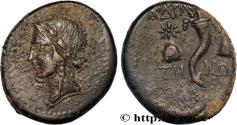 Ancient Coins - MYSIA - ADRAMYTTIUM Adramytium, Mysie c. 120-80 AC. (20,5mm, 7,50g, 11h)